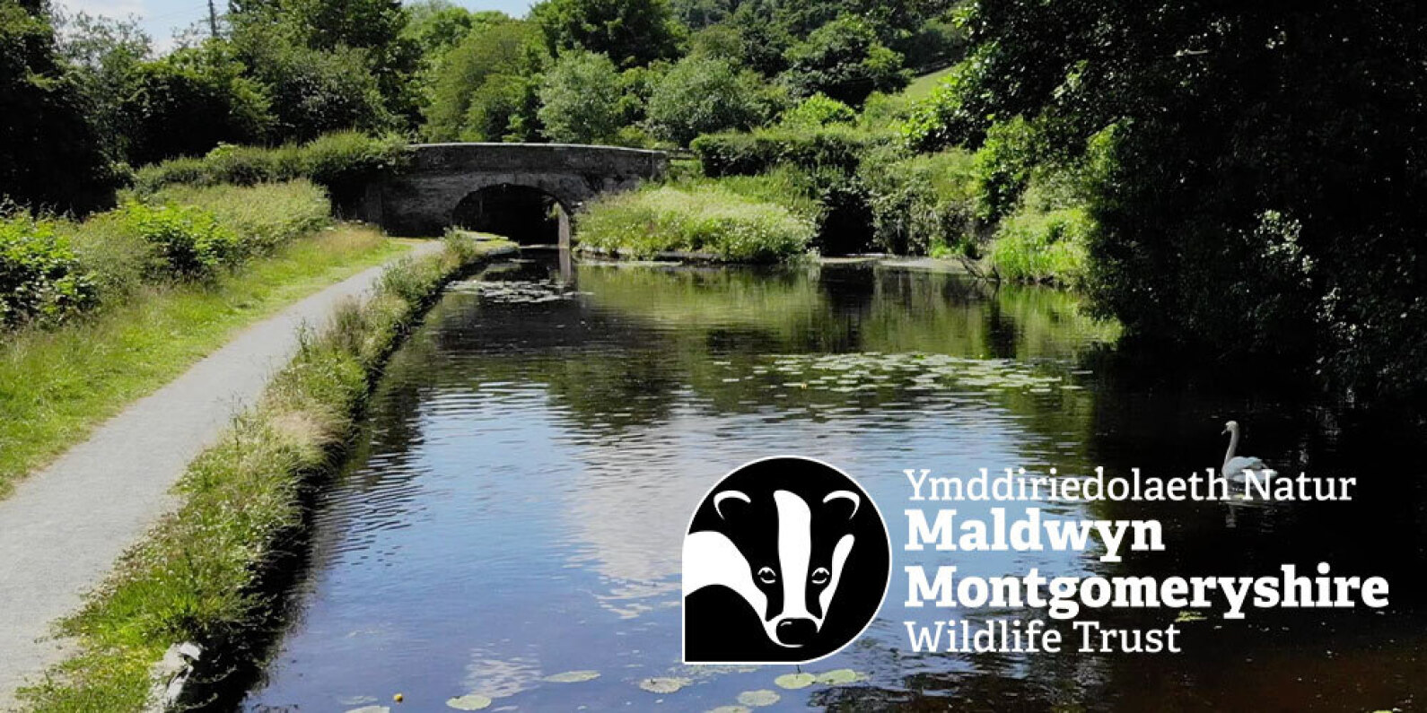 Wildlife Trust Canal Safari App